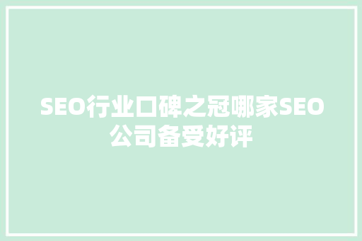 SEO行业口碑之冠哪家SEO公司备受好评