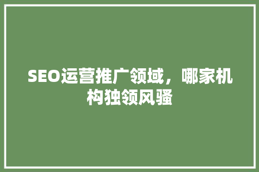 SEO运营推广领域，哪家机构独领风骚