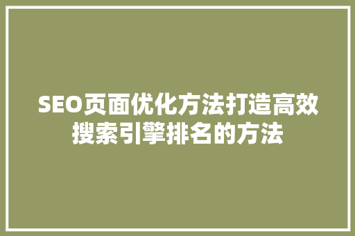 SEO页面优化方法打造高效搜索引擎排名的方法  第1张