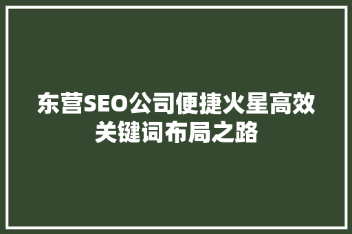 东营SEO公司便捷火星高效关键词布局之路