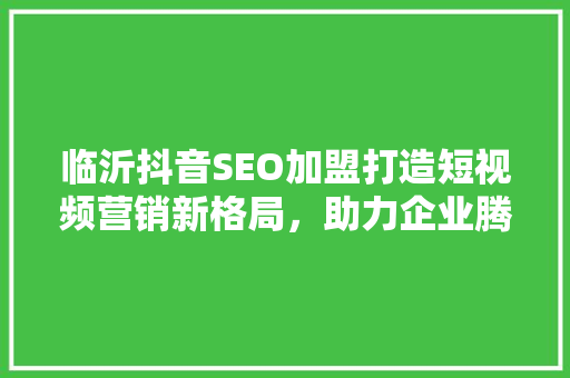 临沂抖音SEO加盟打造短视频营销新格局，助力企业腾飞