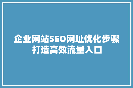 企业网站SEO网址优化步骤打造高效流量入口