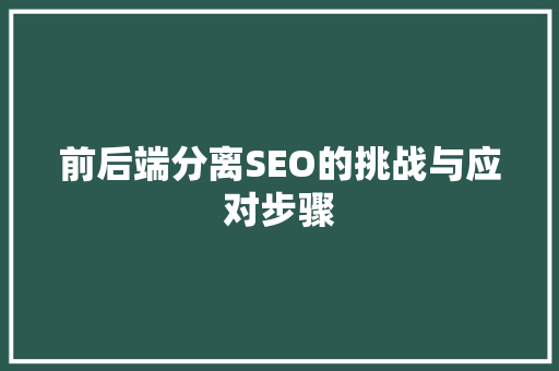 前后端分离SEO的挑战与应对步骤  第1张