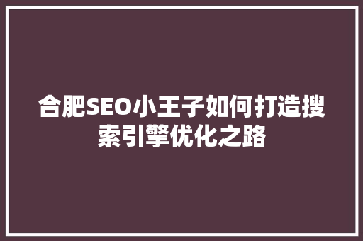 合肥SEO小王子如何打造搜索引擎优化之路