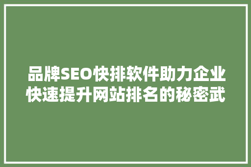 品牌SEO快排软件助力企业快速提升网站排名的秘密武器