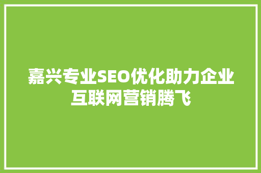 嘉兴专业SEO优化助力企业互联网营销腾飞