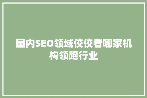 国内SEO领域佼佼者哪家机构领跑行业