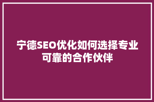 宁德SEO优化如何选择专业可靠的合作伙伴
