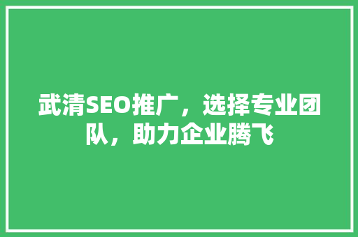 武清SEO推广，选择专业团队，助力企业腾飞  第1张