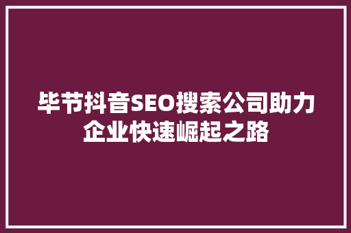 毕节抖音SEO搜索公司助力企业快速崛起之路