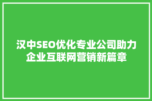 汉中SEO优化专业公司助力企业互联网营销新篇章