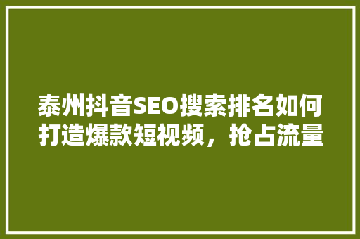 泰州抖音SEO搜索排名如何打造爆款短视频，抢占流量高地