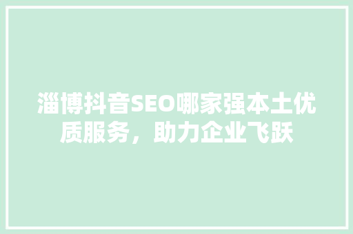 淄博抖音SEO哪家强本土优质服务，助力企业飞跃