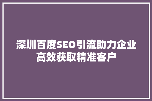 深圳百度SEO引流助力企业高效获取精准客户
