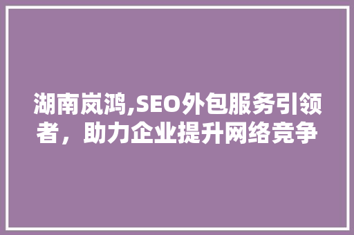 湖南岚鸿,SEO外包服务引领者，助力企业提升网络竞争力