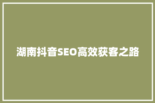 湖南抖音SEO高效获客之路