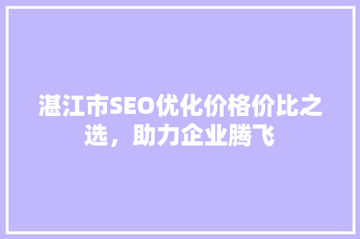 湛江市SEO优化价格价比之选，助力企业腾飞