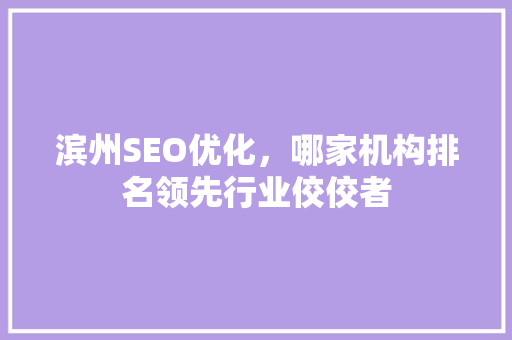 滨州SEO优化，哪家机构排名领先行业佼佼者