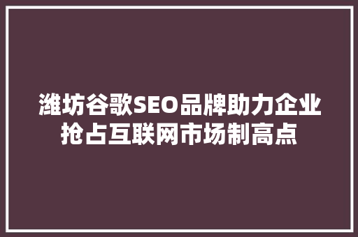 潍坊谷歌SEO品牌助力企业抢占互联网市场制高点