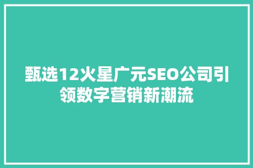 甄选12火星广元SEO公司引领数字营销新潮流