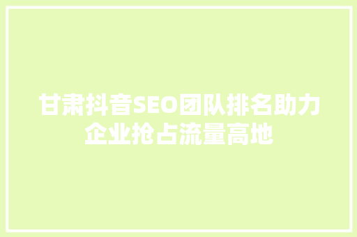 甘肃抖音SEO团队排名助力企业抢占流量高地