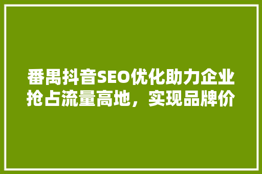 番禺抖音SEO优化助力企业抢占流量高地，实现品牌价值最大化