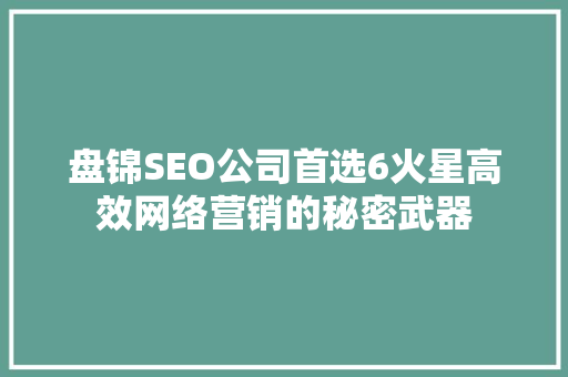 盘锦SEO公司首选6火星高效网络营销的秘密武器