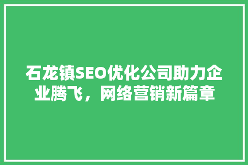 石龙镇SEO优化公司助力企业腾飞，网络营销新篇章