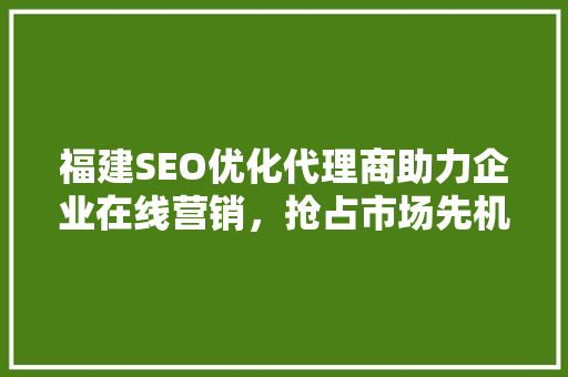 福建SEO优化代理商助力企业在线营销，抢占市场先机