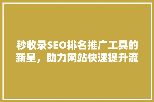 秒收录SEO排名推广工具的新星，助力网站快速提升流量