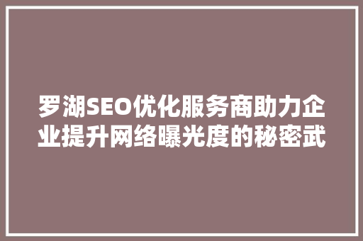 罗湖SEO优化服务商助力企业提升网络曝光度的秘密武器