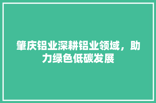 肇庆铝业深耕铝业领域，助力绿色低碳发展  第1张