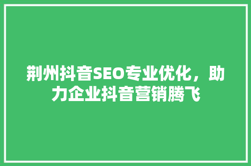 荆州抖音SEO专业优化，助力企业抖音营销腾飞