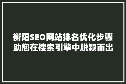 衡阳SEO网站排名优化步骤助您在搜索引擎中脱颖而出