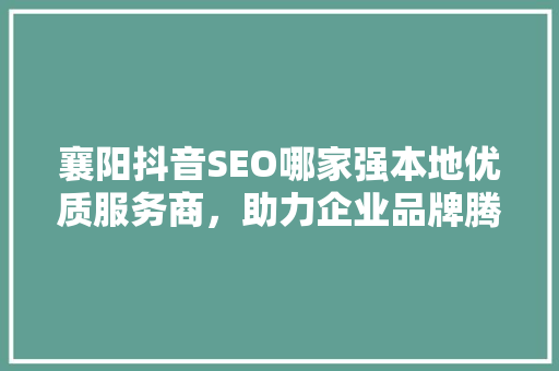 襄阳抖音SEO哪家强本地优质服务商，助力企业品牌腾飞