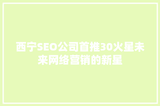 西宁SEO公司首推30火星未来网络营销的新星