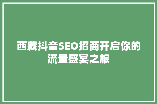 西藏抖音SEO招商开启你的流量盛宴之旅