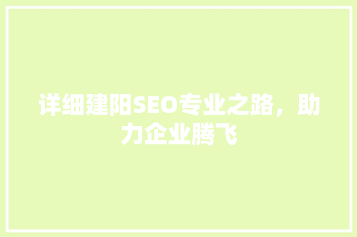 详细建阳SEO专业之路，助力企业腾飞