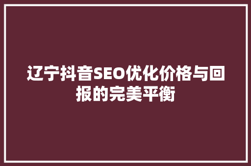 辽宁抖音SEO优化价格与回报的完美平衡