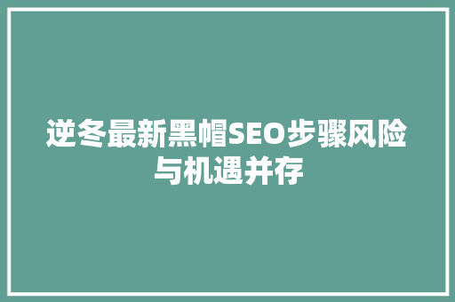 逆冬最新黑帽SEO步骤风险与机遇并存