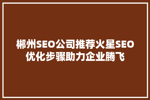 郴州SEO公司推荐火星SEO优化步骤助力企业腾飞