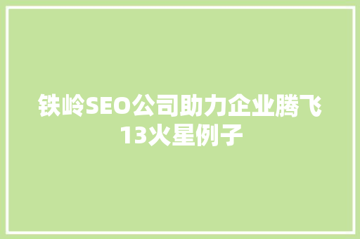 铁岭SEO公司助力企业腾飞13火星例子