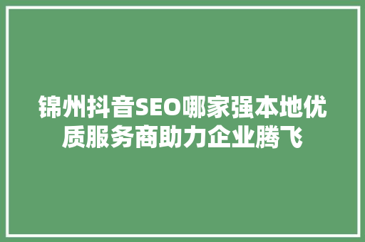 锦州抖音SEO哪家强本地优质服务商助力企业腾飞