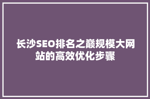 长沙SEO排名之巅规模大网站的高效优化步骤