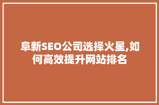 阜新SEO公司选择火星,如何高效提升网站排名
