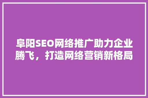 阜阳SEO网络推广助力企业腾飞，打造网络营销新格局