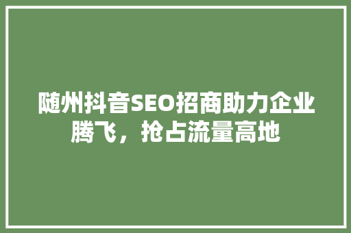 随州抖音SEO招商助力企业腾飞，抢占流量高地