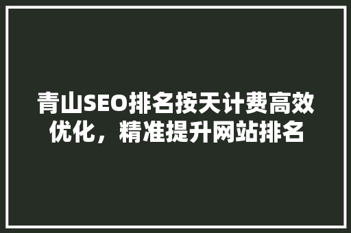青山SEO排名按天计费高效优化，精准提升网站排名