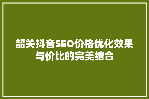 韶关抖音SEO价格优化效果与价比的完美结合  第1张