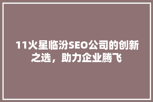 11火星临汾SEO公司的创新之选，助力企业腾飞